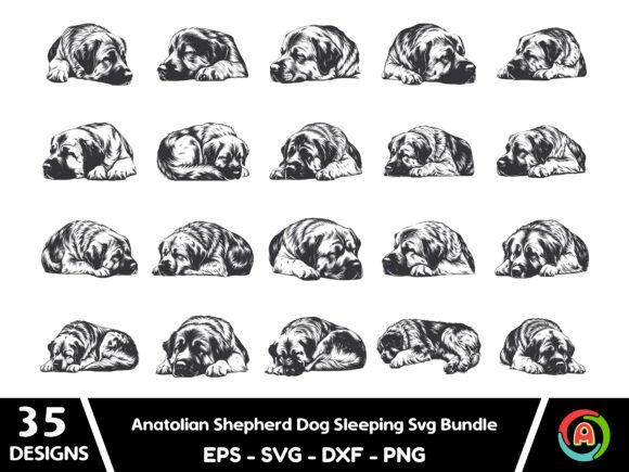 Anatolian Shepherd Dog Sleeping Svg