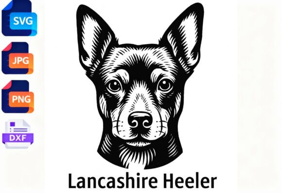 Lancashire Heeler Dog Portrait: A Designer's Honest Take