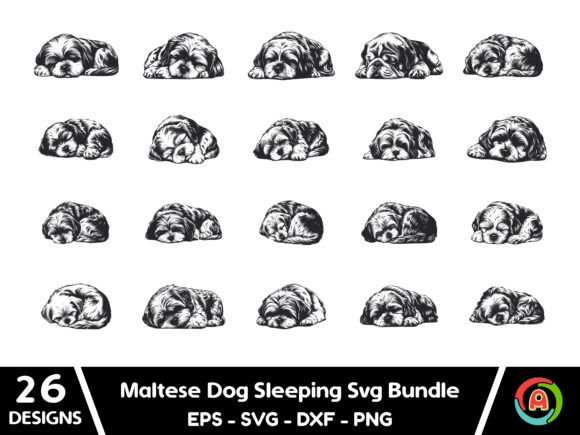 Maltese Dog Sleeping Svg Bundle – A Practical Embroidery Review